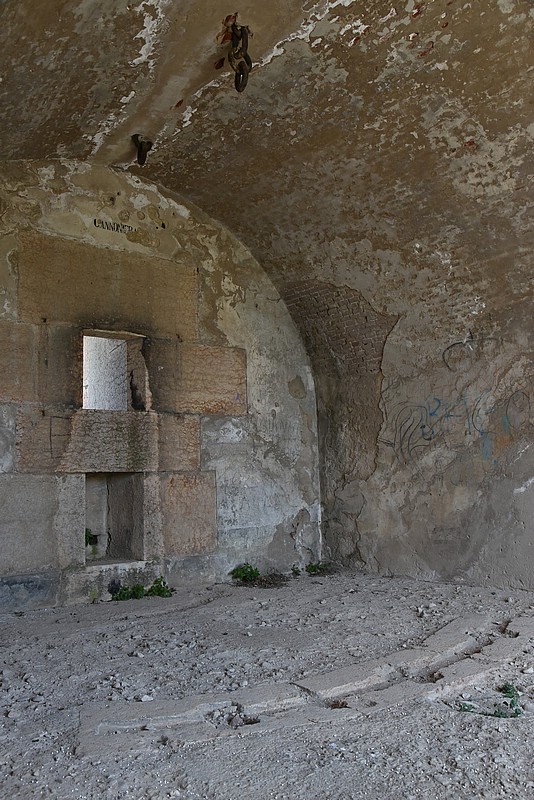DSC_5531RAW.jpg
