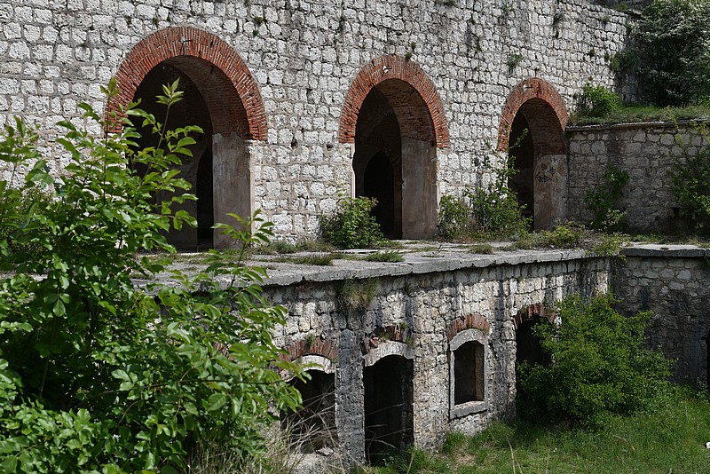 DSC_5533RAW.jpg