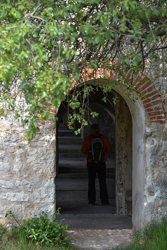 DSC_5559RAW.jpg