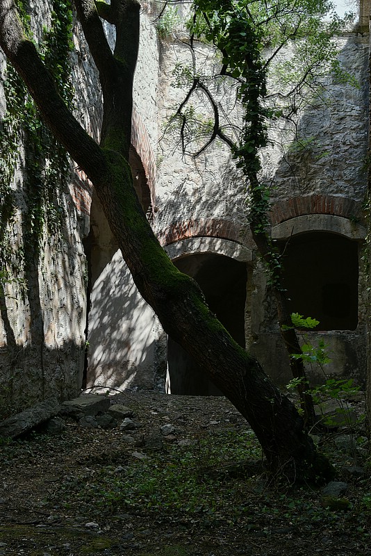 DSC_5562RAW.jpg