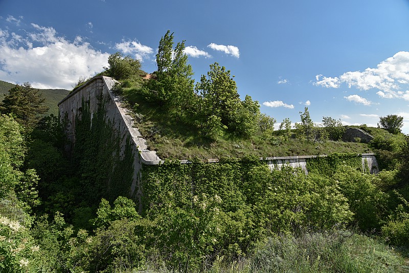 DSC_5594RAW.jpg