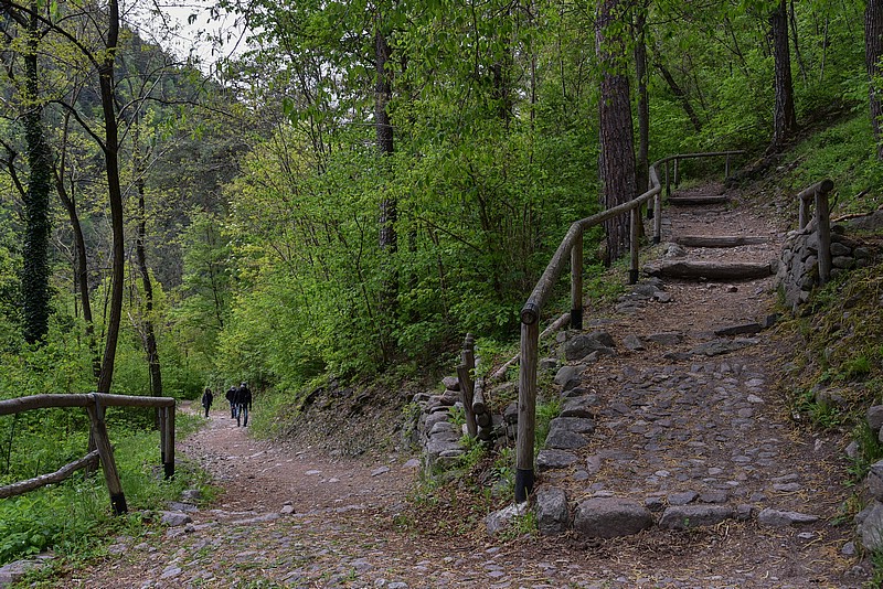 DSC_5843RAW.jpg