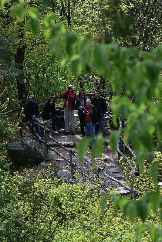 DSC_5874RAW.jpg