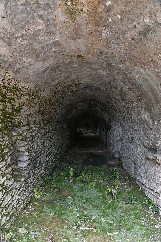 DSC_5992RAW.jpg