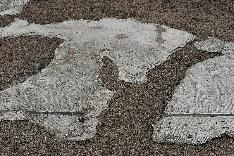DSC_5998RAW.jpg
