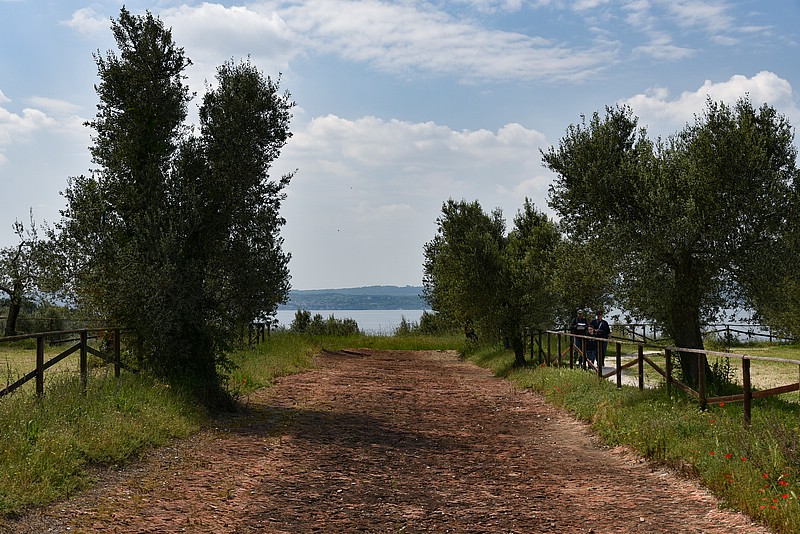 DSC_5999RAW.jpg