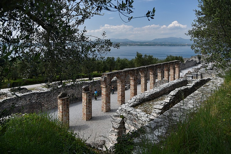 DSC_6005RAW.jpg