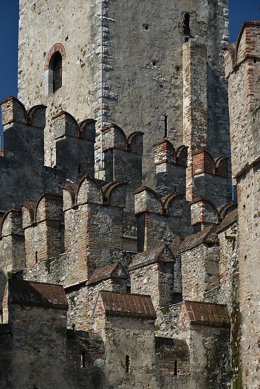DSC_6127RAW.jpg