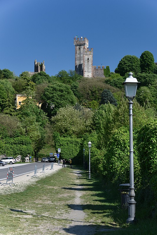DSC_6135RAW.jpg