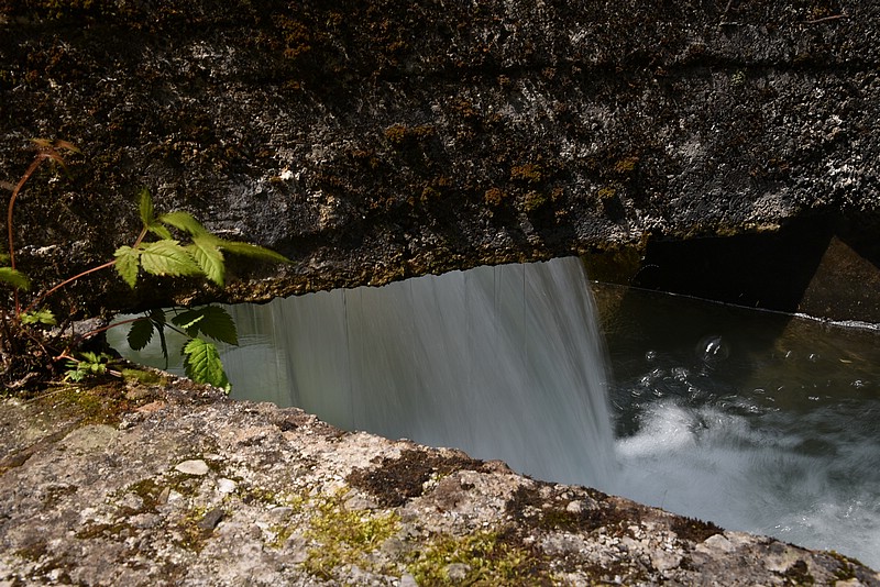 DSC_6187.JPG