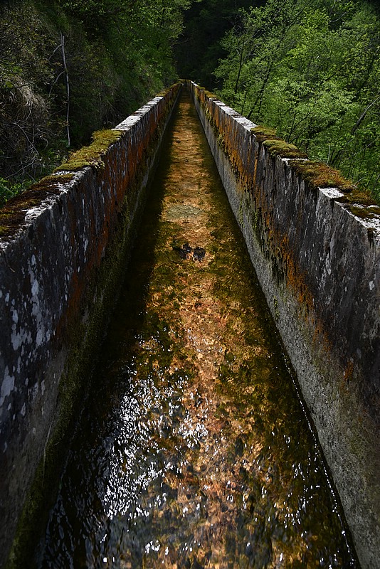 DSC_6196.JPG