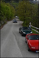 DSC_4980.JPG