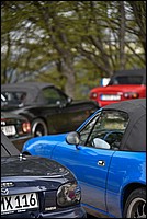 DSC_5045RAW.jpg