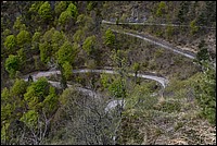 DSC_5288RAW.jpg