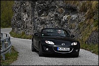 DSC_5309C.jpg
