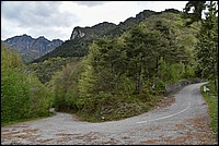 DSC_5325RAW.jpg