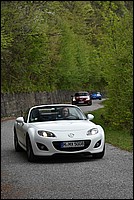 DSC_5328C.jpg