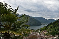 DSC_5351RAW.jpg
