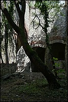DSC_5562RAW.jpg