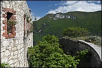 DSC_5574.JPG