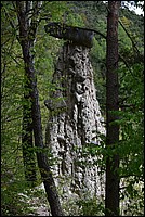 DSC_5873RAW.jpg