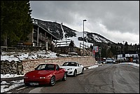 DSC_5913RAW.jpg