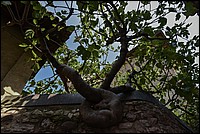 DSC_5938RAw.jpg