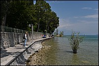 DSC_5954.JPG