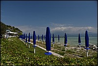 DSC_5963.JPG