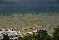 DSC_6070.JPG