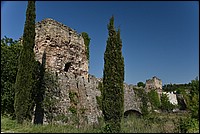 DSC_6150RAW.jpg