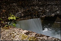 DSC_6187.JPG