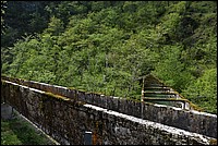 DSC_6190.JPG