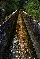 DSC_6196.JPG