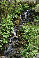 DSC_6199.JPG