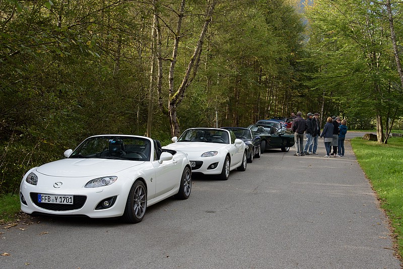 DSC_5687RAW.jpg