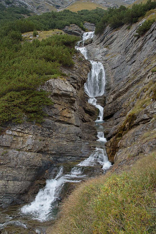 DSC_5793RAW.jpg