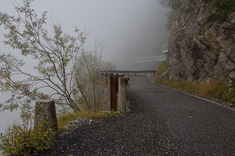 DSC_5910RAW.jpg