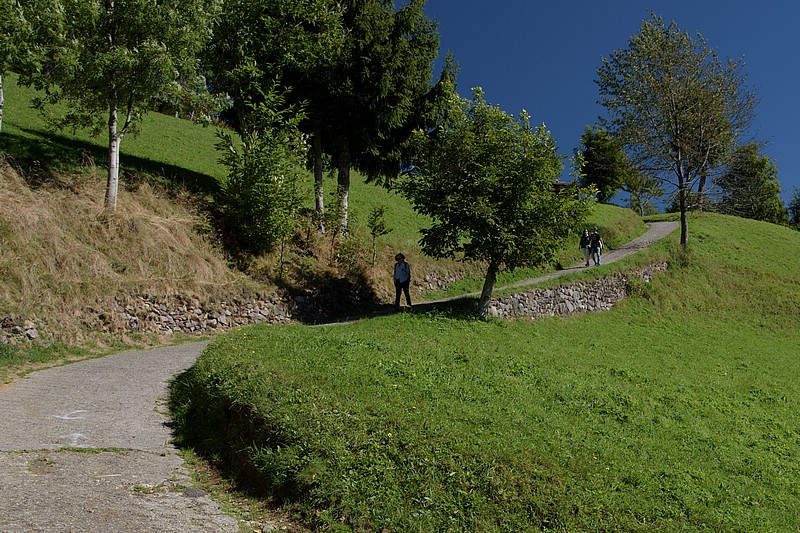 DSC_6117RAW.jpg