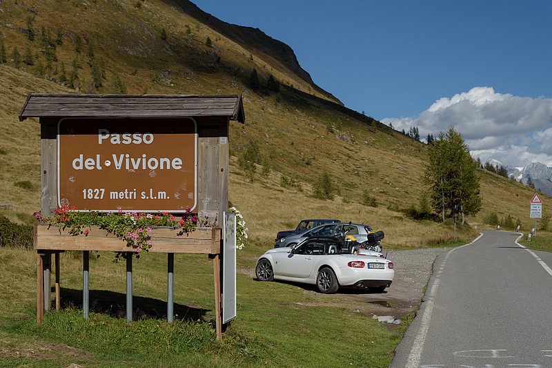 DSC_6128RAW.jpg