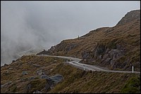 DSC_5938RAW.jpg