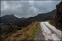 DSC_5945RAW.jpg