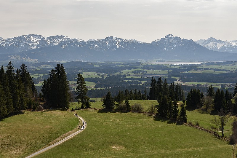 DSC_4833RAW.jpg