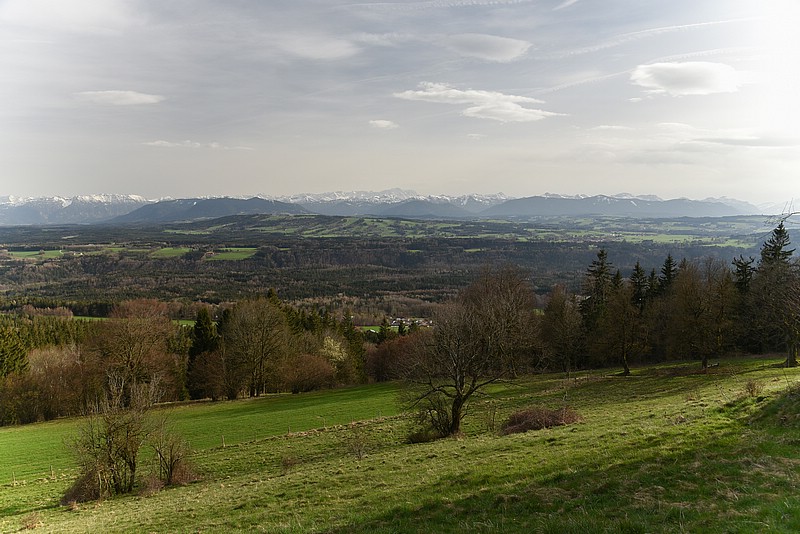 DSC_4856RAW.jpg