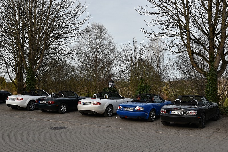 DSC_4862RAW.jpg