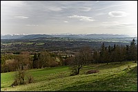 DSC_4856RAW.jpg