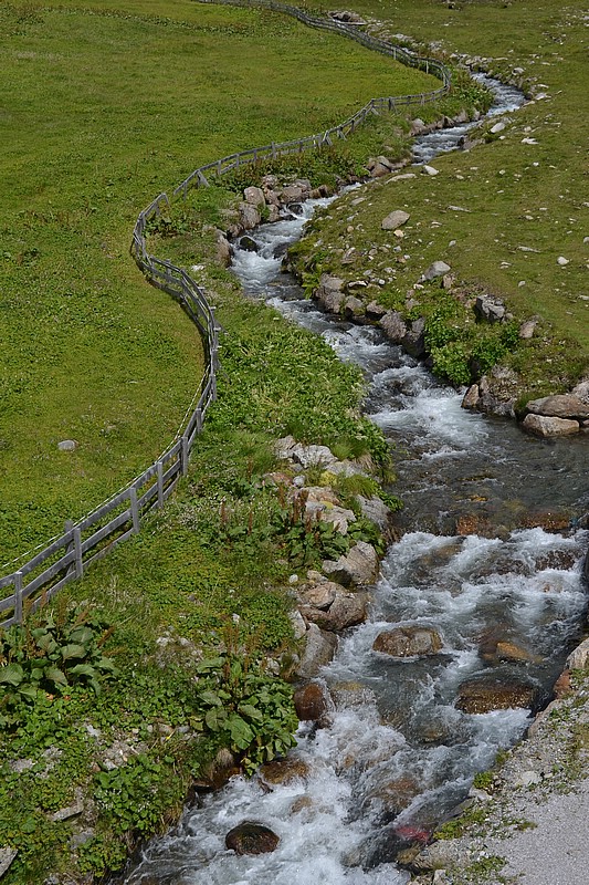 DSC_0556RAW.jpg