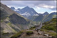 DSC_0607RAW.jpg