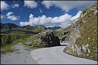 DSC_0650.JPG