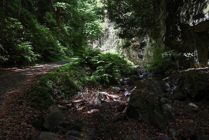 DSC_0678RAW.jpg